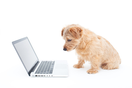 ノートパソコンと犬