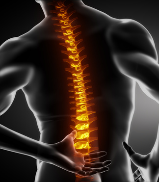 椎間板の変性は痛みを発生させうるのか