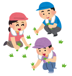 草むしりの姿勢