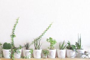 コレステロール低下薬で体に痛みがでる場合もある