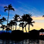 腰痛に関係する4つの因子:肥満、喫煙、飲酒、抑うつ 海外ニュース【健康美容EXPO】