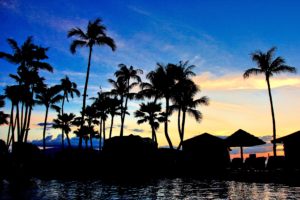 腰痛に関係する4つの因子:肥満、喫煙、飲酒、抑うつ 海外ニュース【健康美容EXPO】