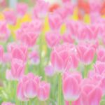 情報の受け取り方を考えてみる