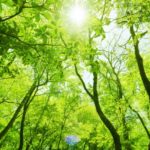 力仕事の後に握力が低下して手がしびれたケース