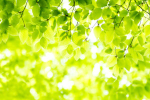 施術の感想を頂けました(^^)