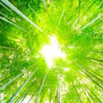 何もしない日をつくろう