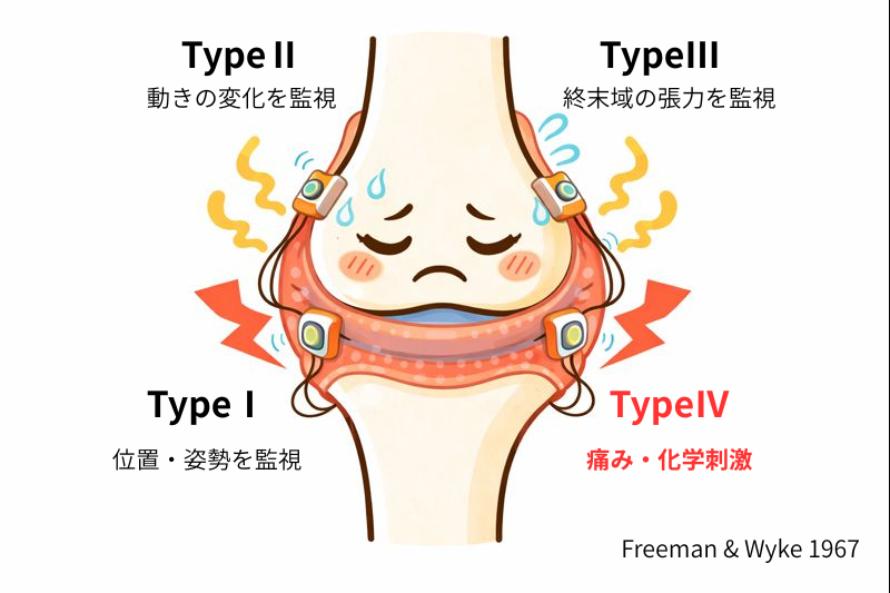 膝が抜ける感じがする原因｜膝が不安定なとき