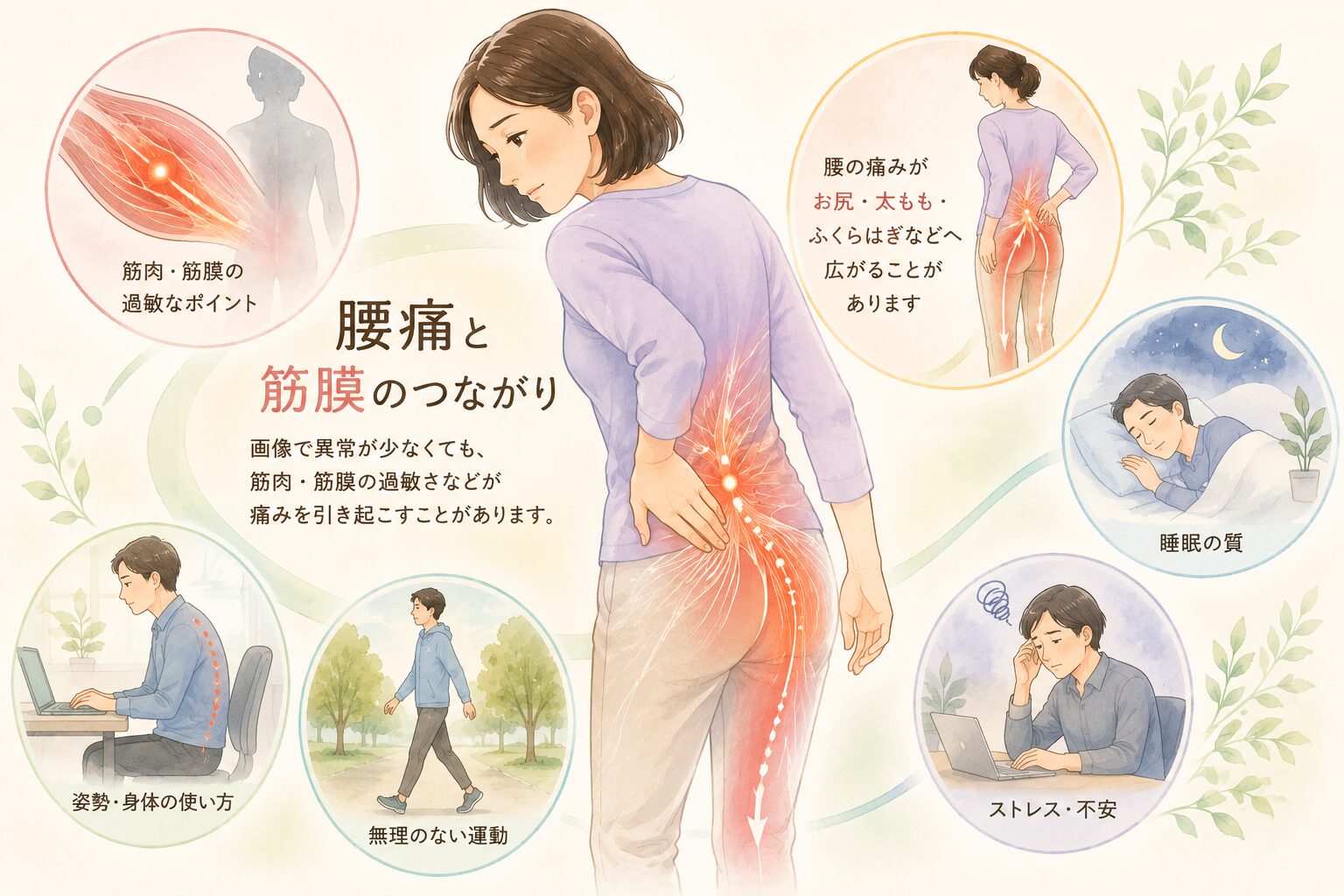 蓮田市で腰痛が続く方へ｜筋膜性疼痛症候群（MPS）の視点から解説