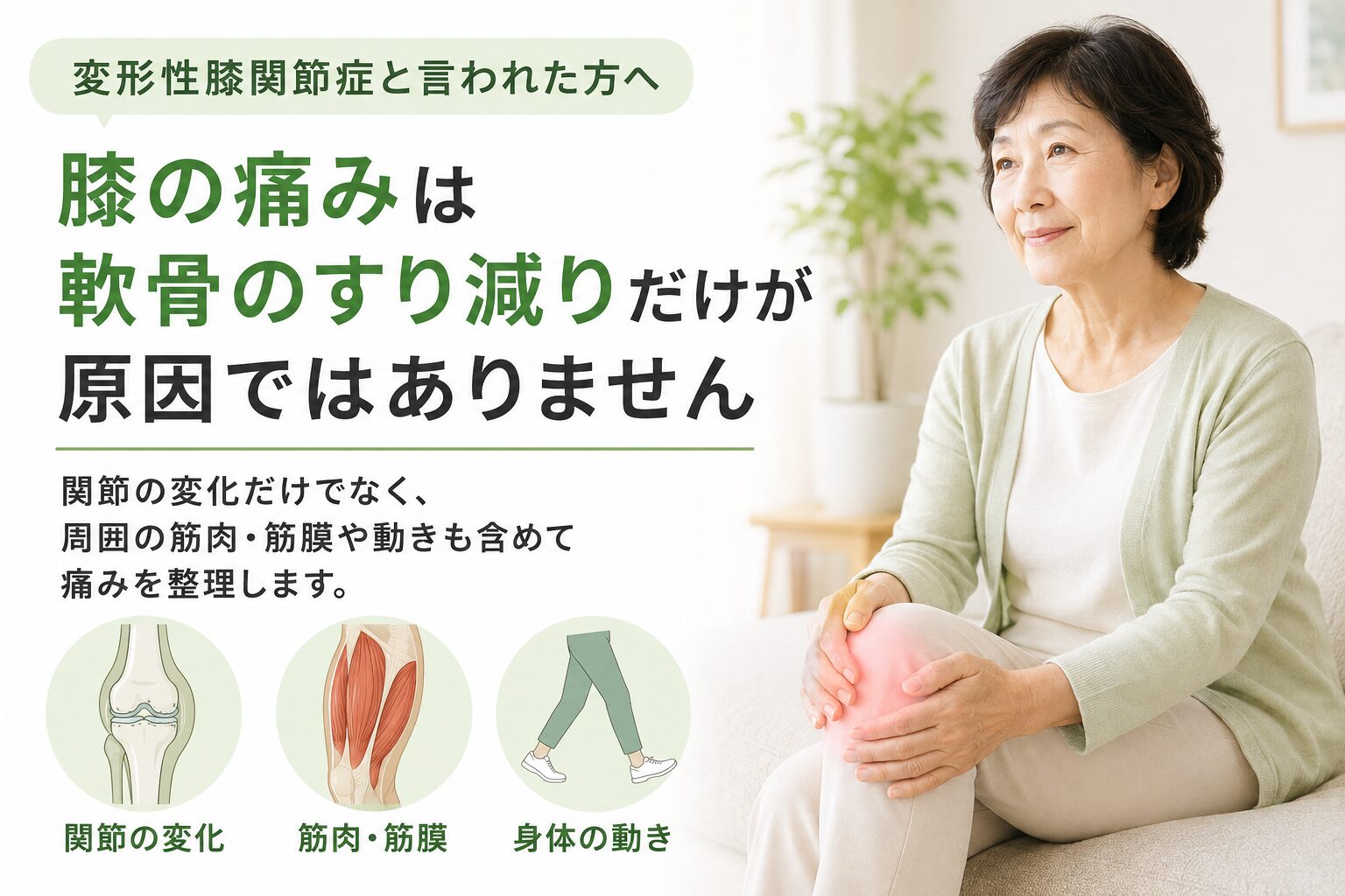 変形性膝関節症と膝の痛み｜軟骨のすり減りだけが原因ではありません