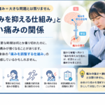 強い痛み＝大きな問題とは限りません→「痛みを抑える仕組み」と強い痛みの関係