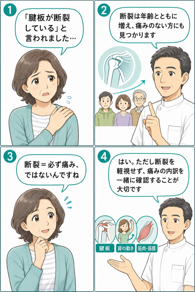 腱板断裂があっても必ずしも痛みがあるとは限らず、肩の動きや筋肉・筋膜も含めて確認する大切さを説明する4コマ漫画